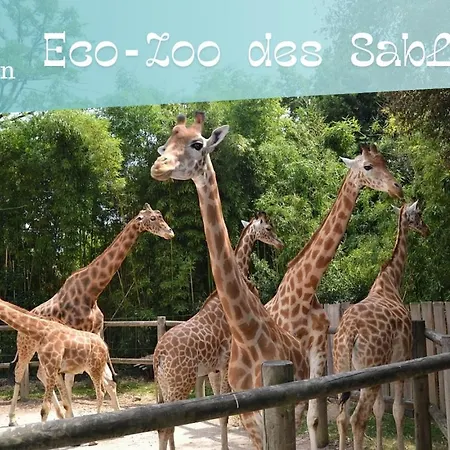 Ferienhaus Le Chateau - 2 A 4 Pers - 300m De La De Tanchet - Barbecue Et Bain De Soleil Les Sables-dʼOlonne