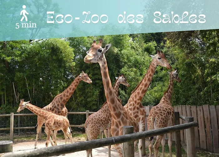 Ferienhaus Le Chateau - 2 A 4 Pers - 300m De La De Tanchet - Barbecue Et Bain De Soleil Les Sables-dʼOlonne